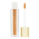 Napoleon Perdis Camera Finish Concealer MN15