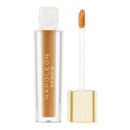 Napoleon Perdis Camera Finish Concealer MN16
