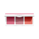 Covergirl Clean Fresh Blush Palette - 110 Plum Blossom