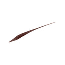 Brown feather on a white background
