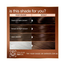Garnier Good Permanent Haircolour 4.0 Cacao Brown