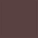 Sally Hansen Insta-Dri Nail Polish Slick Slate