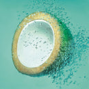 Garnier Fructis Coconut Water Conditioner 315ml