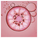 Garnier Fructis Colour Last Conditioner 315ml to Protect Coloured Hair