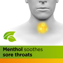 Strepsils Herbal Immune Support Lozenges Honey Lemon 32 Pack