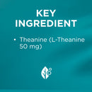 A teal graphic with white text reading 'KEY INGREDIENT' and 'Theanine (L-Theanine 50 mg)', plus a small white leaf-and-molecule icon near the bottom.