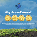 Promotional graphic for Caruso's with a blue butterfly, green grass, and four gold badges on a blue background.