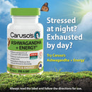 Caruso's Ashwagandha + Energy supplement bottle with a butterfly on a natural background