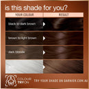Garnier Good Permanent Haircolour 4.0 Cacao Brown