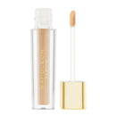 Napoleon Perdis Camera Finish Concealer FN6
