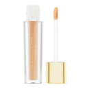 Napoleon Perdis Camera Finish Concealer LN8