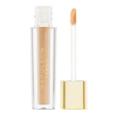 Napoleon Perdis Camera Finish Concealer LN9