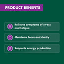 Product benefits listed on a green background with purple accents